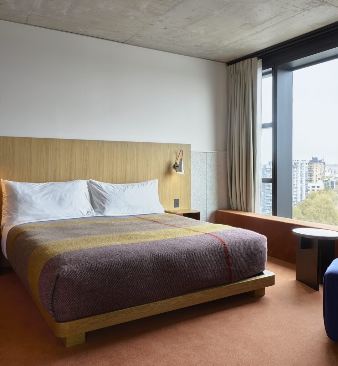 Ace Suite - image