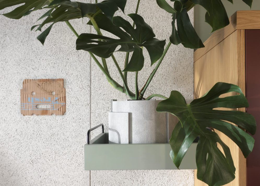 A plant sits in the room providing greenery and a connection to nature indoors